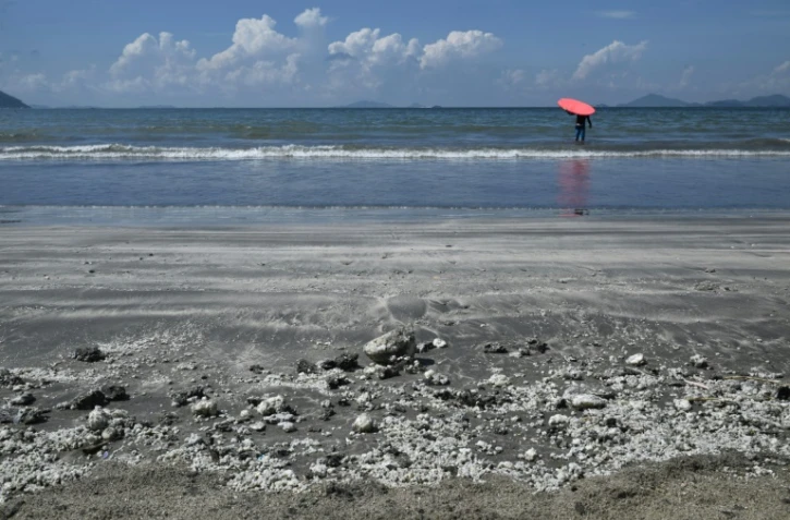 Hong Kong touchée par une fuite d'huile de palme, le 7 août 2017