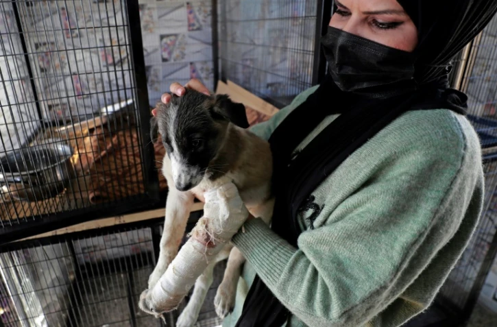 Une vétérinaire s'occupe d'une petite chienne blessée dans un refuge de secours pour animaux errants, le 16 janvier 2022 à Bagdad, en Irak