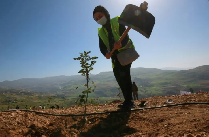 Une Jordanienne plante un arbre le 11 février 2021 près de la forêt de Kufranjah, dans le gouvernorat d'Ajloun, à 70 km au nord d'Amman, en Jordanie
