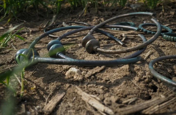 Coliers et bracelets du trésor de Tavers, datant du VIè siècle avant Jésus-Christ, photographiés le 15 avril 2019