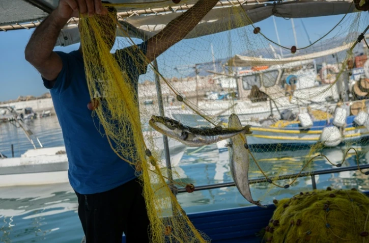 Alexis Charlambakis, un pêcheur grec, montre deux poissons-ballons pris dans ses filets à Ierapetra, en Crète, le 3 juin 2026