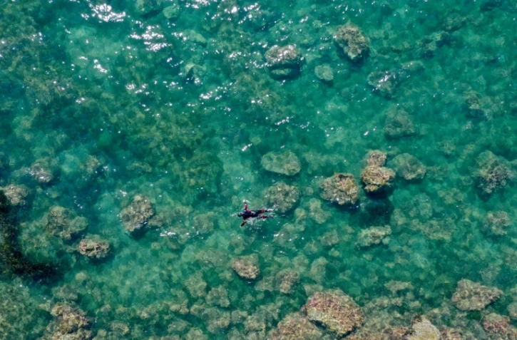 Vue aérienne montrant le  professeur Sajmir Beqiraj le 12 juillet 2021 au large de la plage de Kallmet, en Albanie, à la recherche d'algues invasives