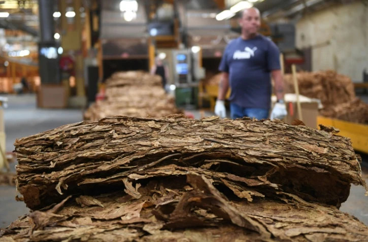 Des "strips" de feuilles de tabac dans l'usine de France Tabac Ă Sarlat-la-Caneda, le 20 septembre 2019