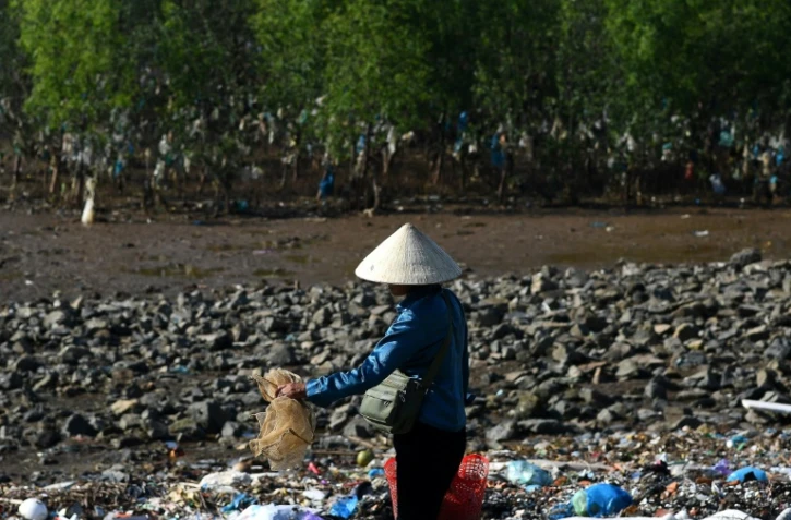 La mangrove recouverte de sacs plastiques dans la province vietnamienne de Than Hoa, le 15 mai 2018