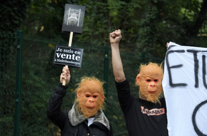 Manifestation à  Niederhausbergen, à proximité de Strasbourg pour réclamer la fermeture d'un centre universitaire de primatologie, qui réalise des études sur des singes, le 20 octobre 2019  