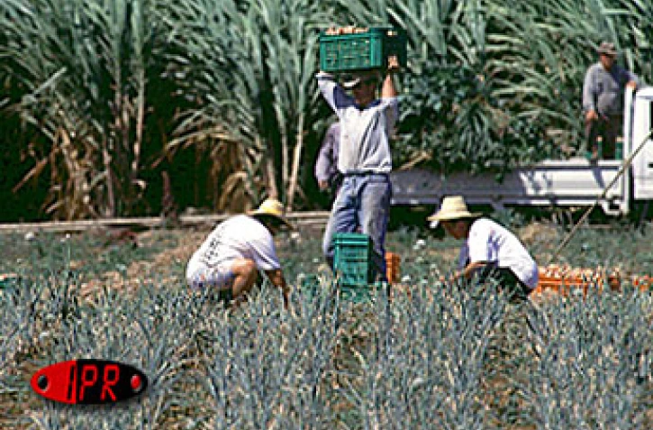Agriculteurs au travail