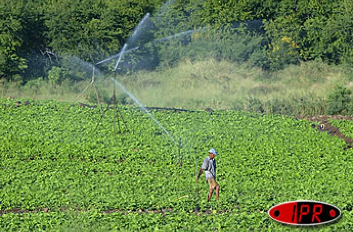 Système d'irrigation.