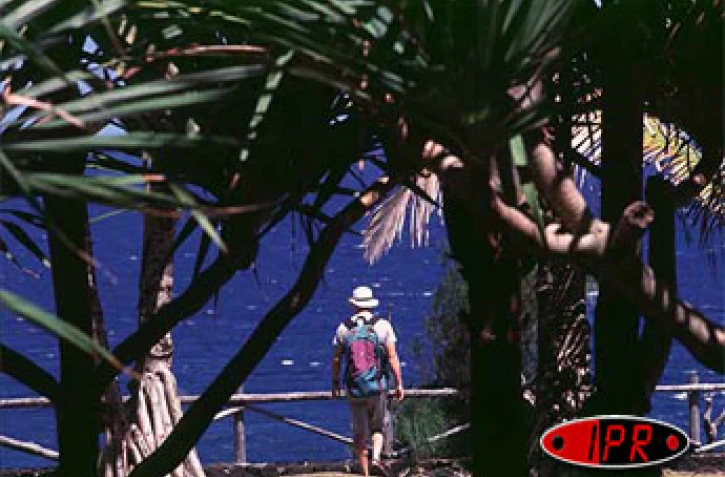 Lundi 4 décembre 2006 -
L'avenir du tourisme a fait l'objet d'une conférence - débat organisée par le MEDEF (syndicat patronal)