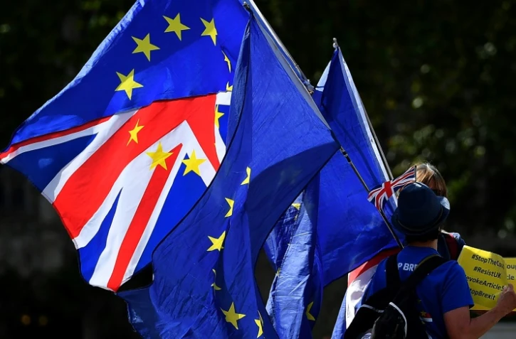 Des militants anti-Brexit manifestent devant le Parlement britannique à Londres, le 29 août 2019