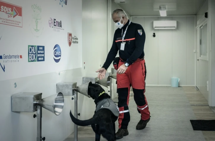 Entraînement de la brigade canine des sapeurs-pompiers de Gironde à détecter la maladie du Covid, à Libourne, le 29 janvier 2021