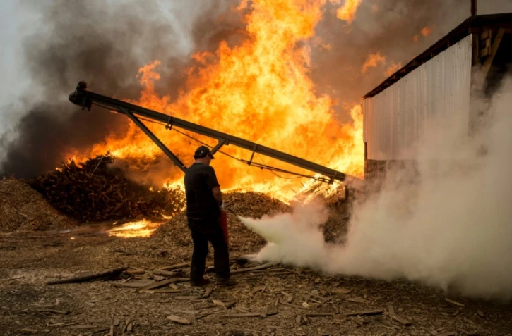 Feu de forêt à Constitucion, au Chili, le 26 janvier 2017
