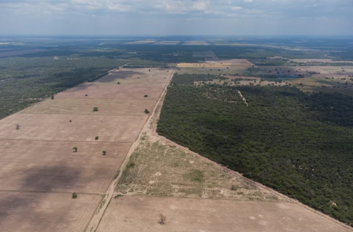 Vue aérienne d'une zone déboisée à la périphérie de Juan Jose Castelli, dans la province de Chaco, le 26 octobre 2022 Argentine
