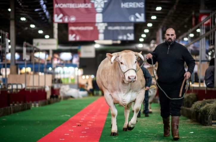 Un fermier conduit sa vache entre les stands du Salon de l'agriculture, le 21 février 2020 à la Porte de Versailles, à Paris