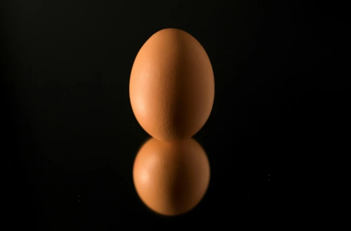 Les oeufs produits en France ne contiennent aucune trace de l'insecticide fipronil, à l'origine du scandale des oeufs contaminés
