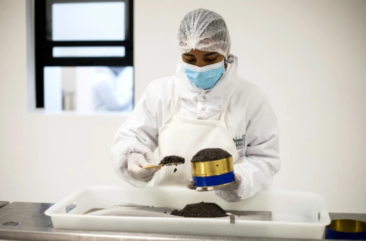 Une employée de Rova Caviar met en boite du caviar, le 4 juin 2019 à Mantasoa, à Madagascar