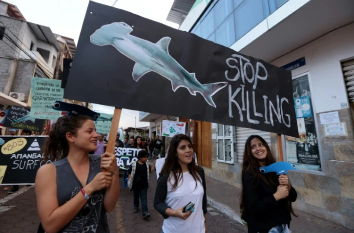 Des habitants de l'île équatorienne de Santa Cruz aux Galapagos manifestent contre la pêche illégale le 14 août 2017, après la découverte de 300 tonnes de poissons, y compris des espèces de requins protégées sur un navire chinois