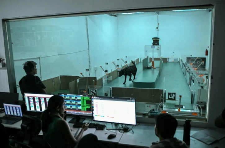 Des employés observent le comportement d'un chien lors d'un test de détection au laboratoire du site de Dognosis, le 28 juillet 2026 à Kempohalli, en périphérie de Bangalore, en Inde