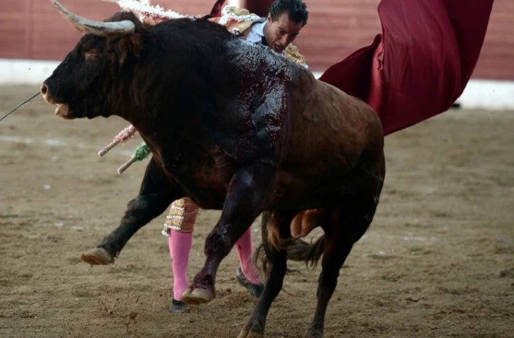 Le matador Ivan Fandiño, le 17 juin 2017 à Aire-sur-l'Adour