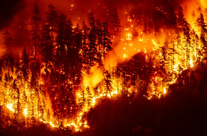 Un feu de forêt sur l'île de Vancouver, en Colombie-Britannique, le 12 août 2025 au Canada