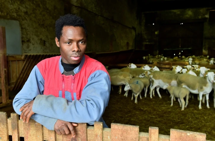 Kekouta Dembélé, jeune réfugié malien et apprenti berger, à Gironde-sur-Dropt, le 22 janvier 2019