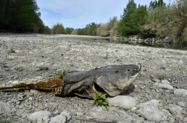 Le lit de la rivière Agly asséchée, le 27 avril 2023 à Riversaltes, dans les Pyrénées-Orientales