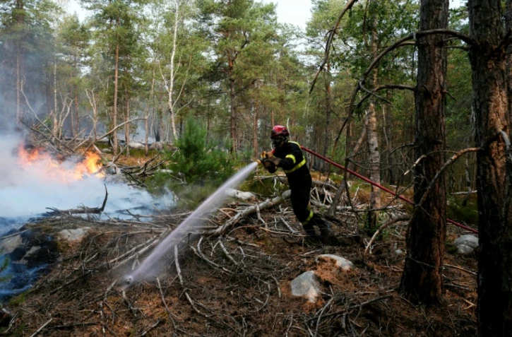 Un pompier lutte contre un incendie dans la forêt de Fontainebleau, à Noisy-sur-Ecole, en Seine-et-Marne, le 14 juillet 2026