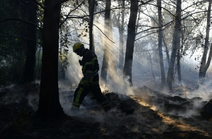 Un pompier marche au milieu des cendres le 12 août 2017 à Pietracorbara en Corse 
