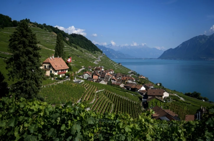 Des vignes Ă Epesses en Suisse, dans les vignobles de Lavaux, le 16 juillet 2019