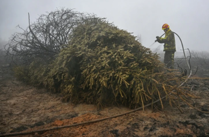Un pompier arrose un sol et une végétation brûlés lors d'une intervention contre l'incendie dans la réserve naturelle des Hautes Fagnes, dans l'est de la Belgique, le 18 août 2026