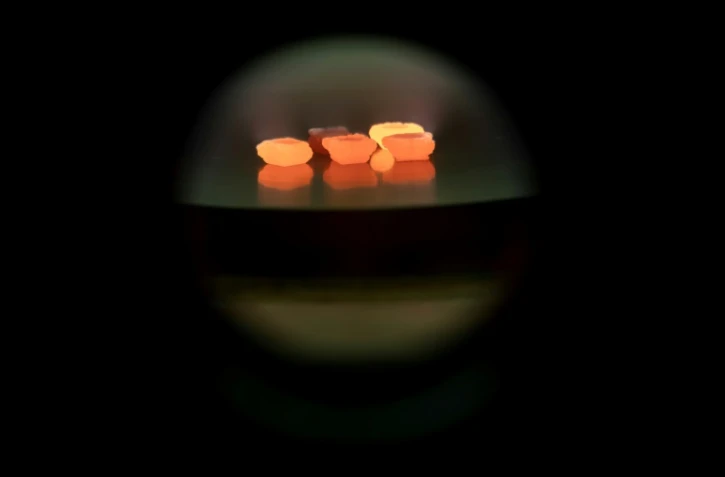 Diamants dans le four de la société Diam Concept, hébergée dans un laboratoire du CNRS à l'université Paris 13