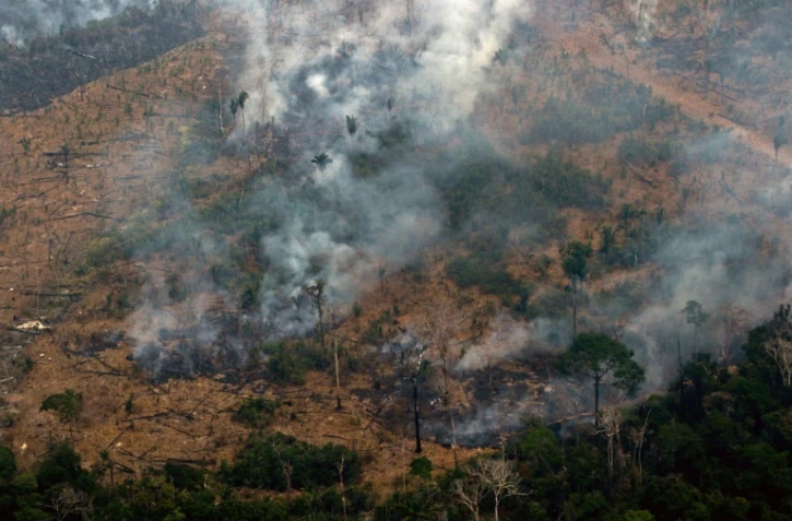 Des volutes de fumée s'échappent d'arbres de la forêt amazonienne, le 24 août 2019 près de Boca do Acre, dans l'ouest du Brésil
