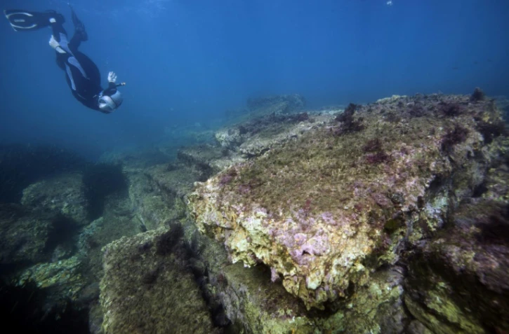 Lenaïc Riaudel, archéologue sous-marine, nage près des ruines du site d'Olbia, près de la plage d'Almanarre à Hyères, le 28 novembre 2018