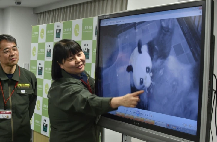 Une responsable du zoo d'Ueno à Tokyo, Mikako Kaneko (G) montre un bébé panda lors d'une conférence de presse le 12 juin 2017