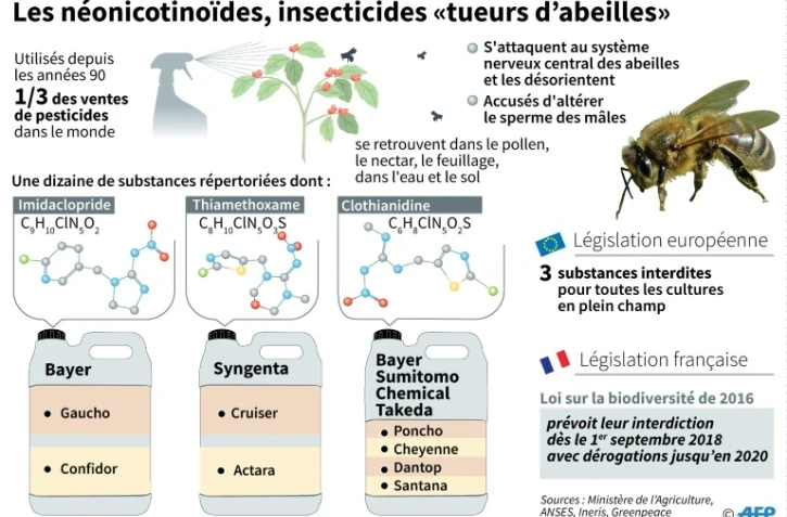 Les néonicotinoïdes, insecticides "tueurs d'abeilles"