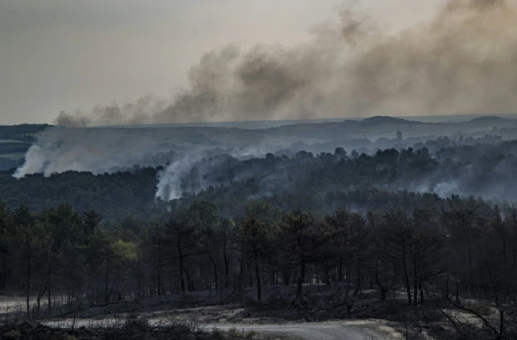 Un incendie ravage le parc national de Dadia, en Grèce, le 25 juillet 2023