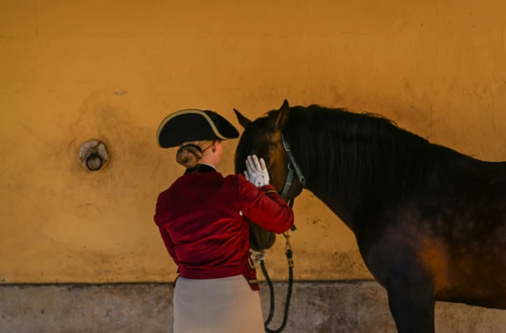 Une cavalière de l'école d'art équestre de Lisbonne prépare un pur-sang lusitanien avant un spectacle de dressage à  Lisbonne, le 15 janvier 2024 au Portugal