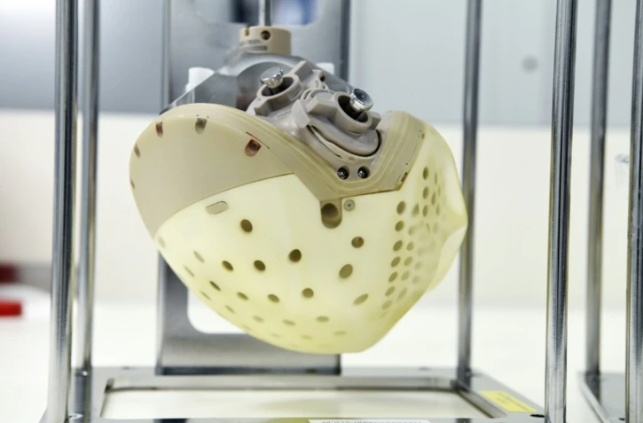 Un coeur artificiel au siège de l'entreprise Carmat, le 29 août 2018 à Bois-d'Arcy, près de Paris