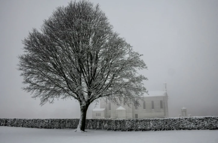 Un arbre sous la neige, le 23 janvier 2019, dans la nécropole nationale de Notre-Dame de Lorette, à Souchez (Pas-de-Calais)