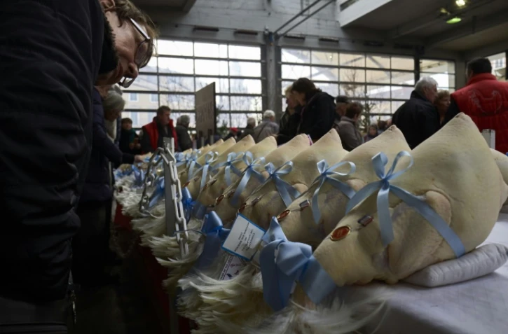 Des poules, chapons et dindes sur un marché de Bourg-en-Bresse pendant le concours "Les Glorieuses of Bresse" le 16 décembre 2016