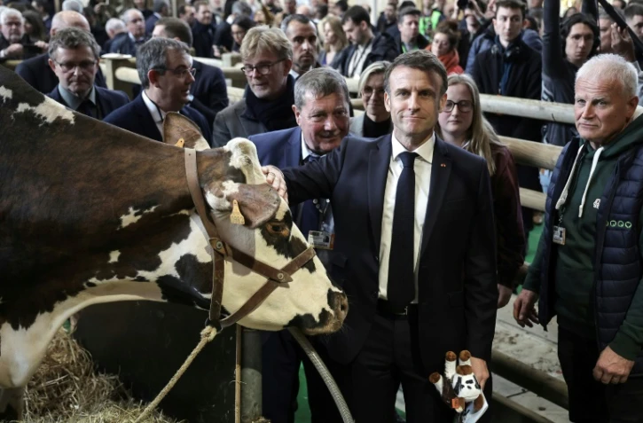 Le président français Emmanuel Macron auprès de la vache normande "Oreillette" et de son éleveur François Foucault (D), lors de la visite du 60e Salon international de l'agriculture (SIA) à Paris, le jour de son inauguration, le 24 février 2024.