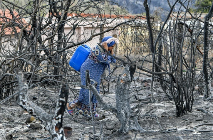 Une femme portant un jerrycan marche entre des arbres calcinés par un incendie, près de Melloula, dans le nord-ouest de la Tunisie, le 26 juillet 2023