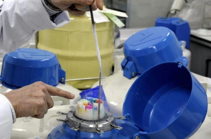 Des échantillons de sperme conservés dans des cuves d'azote liquide au Centre d'étude et de conservation des oeufs et du sperme (CECOS) à l'hôpital Femme-Mère-Enfant de Lyon le 25 Mars 2010