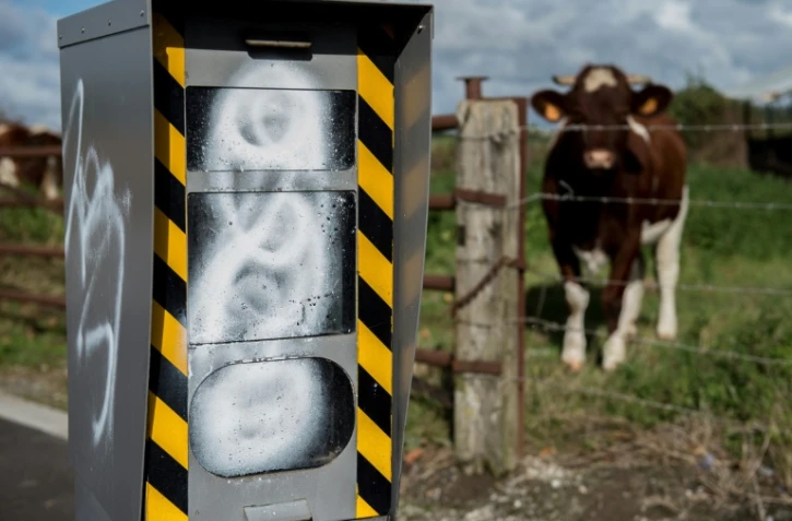 Un radar fixe, dégradé à la peinture, le 3 octobre 2016 à Strazeele (Nord)