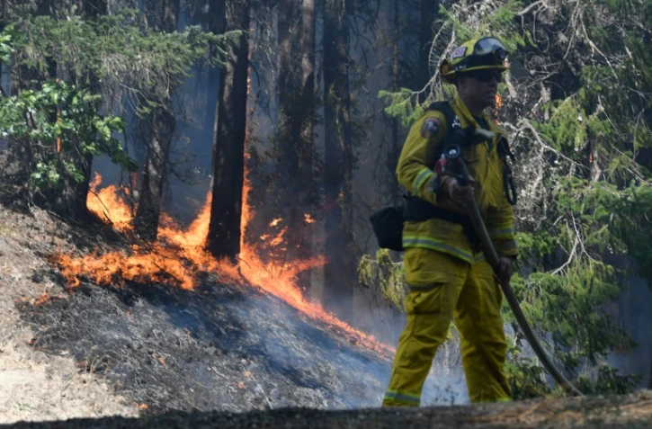 Des pompiers luttent contre l'incendie "Carr", à Douglas City (Californie) le 30 juillet 2018