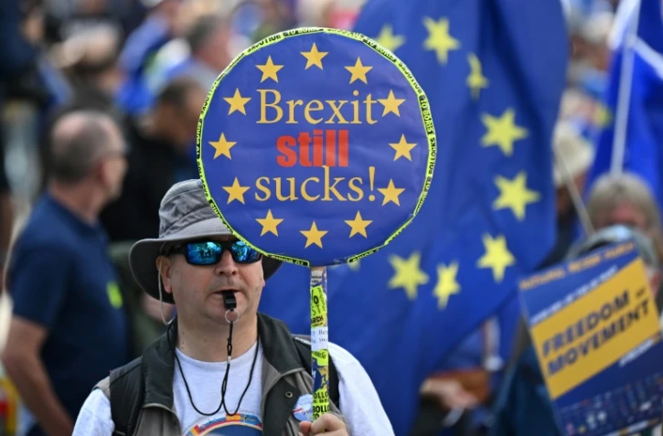 Manifestation en faveur du retour au Royaume-Uni au sein de l'Union européenne, le 23 septembre 2023 à Londres