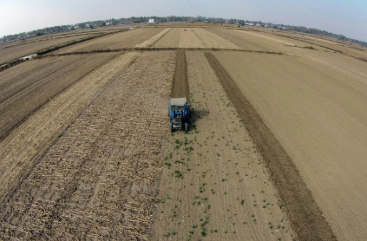 Un agriculteur chinois dans son champ le 18 octobre 2015 dans la ville de Bengbu, au nord de la province de l'Anhui