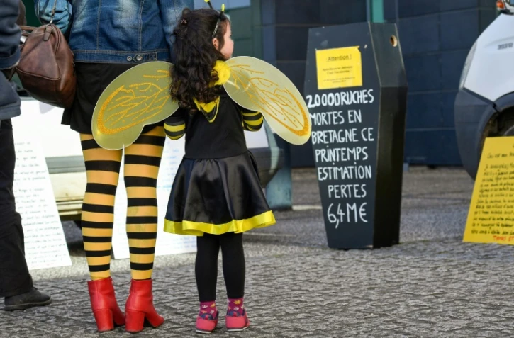 Nature empoisonnée, sols bétonnés, hécatombe d'abeilles ou d'oiseaux... Nicolas Hulot présente vendredi des pistes pour tenter de préserver le monde du vivant et mobiliser autour d'une biodiversité en danger qui mérite un "sursaut d'indignation"