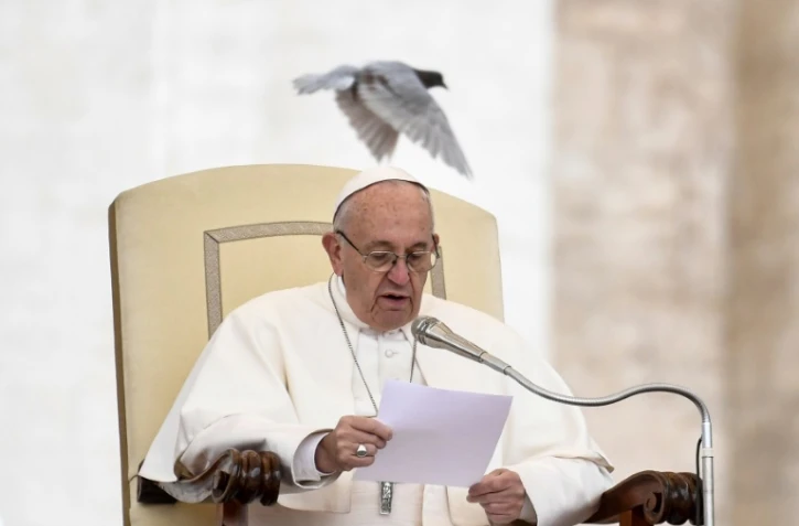 Le pape François lors d'un discours sur la place Saint-Pierre le 15 novembre 2017 au Vatican