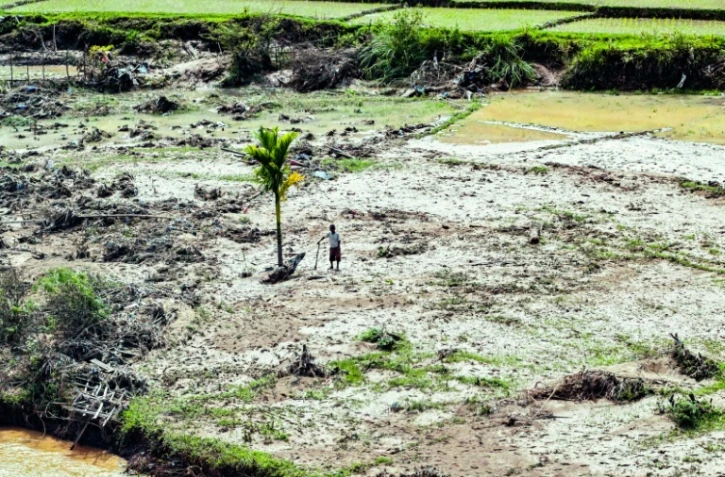 Des rizières ravagées par des inondations à Bener Meriah, dans la province indonésienne d'Aceh, le 4 décembre 2025