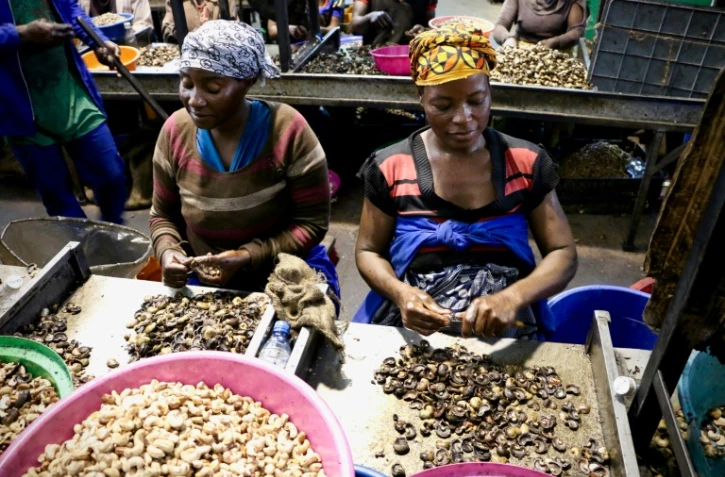 Des employées décortiquent des noix de cajou dans l'usine de Condor Nuts, le 9 mars 2018 à Nampula, au Mozambique